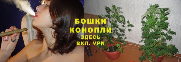 соль ск Балабаново