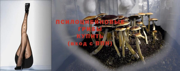 соль ск Балабаново